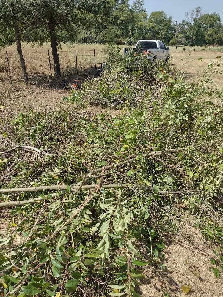 Expert lawn mowing service experts serving Grand Saline, TX - Countryside Landscaping Pro’s