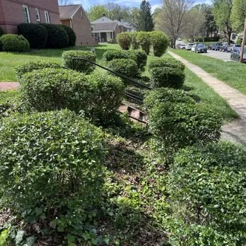 Reliable lawn care service in Roanoke, VA - Countryside Landscaping