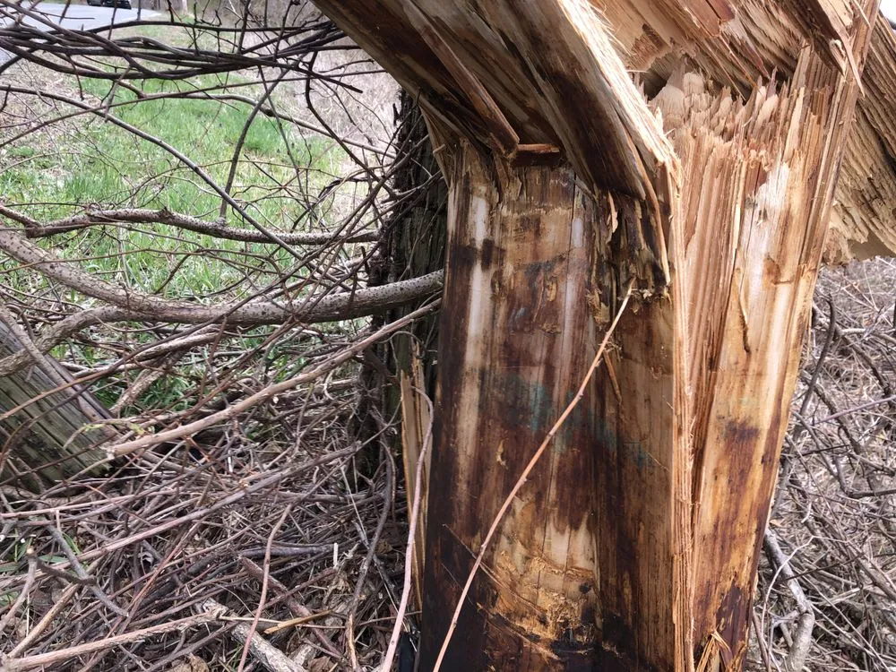 Professional landscape installation in Pine Plains, NY by Countryside Lawn & Home Care