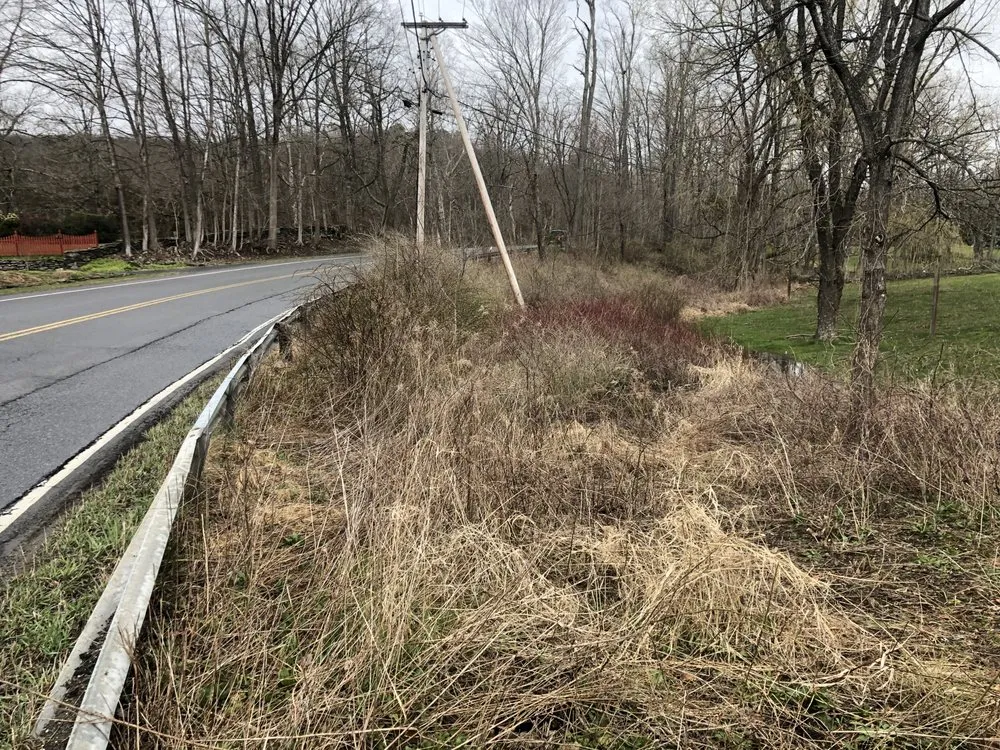 Custom yard cleanup service in Pine Plains, NY - Countryside Lawn & Home Care