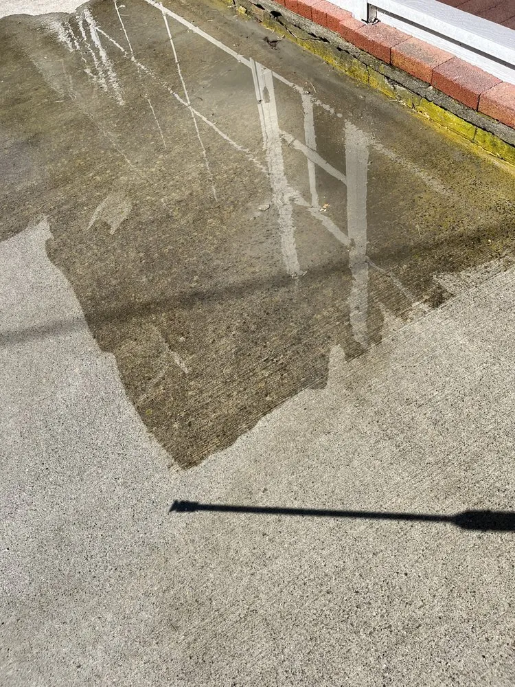 Expert yard cleanup service experts serving Pine Plains, NY - Countryside Lawn & Home Care