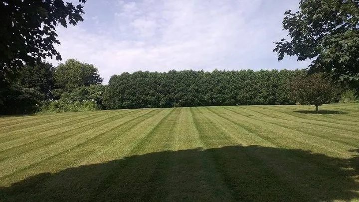 Reliable landscape installation for year-round maintenance across Adams Center, NY - Countryside Lawn and Landscape