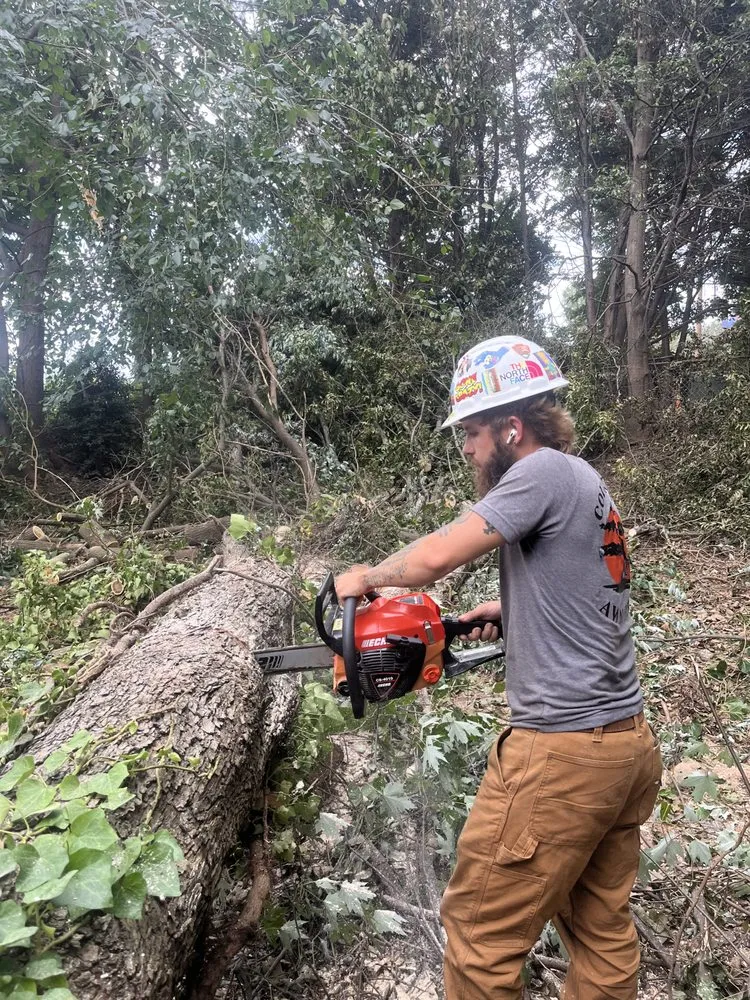 Trusted landscape installation for beautiful yards across Travelers Rest, SC - Countryside Lawn Pros