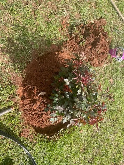 Professional landscape design experts serving Travelers Rest, SC - Countryside Lawn Pros