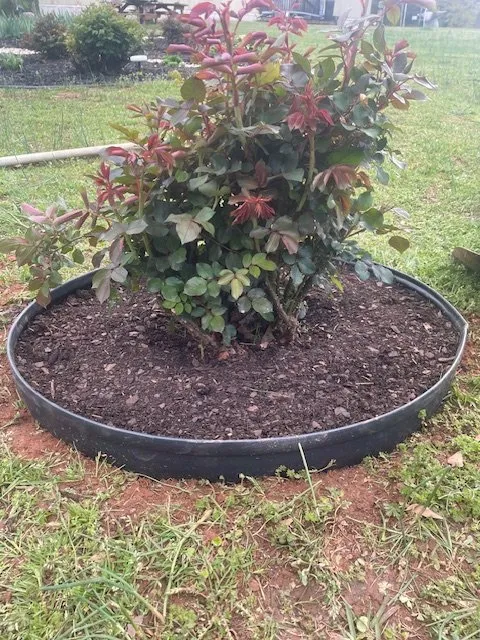 Professional landscape installation experts serving Travelers Rest, SC - Countryside Lawn Pros