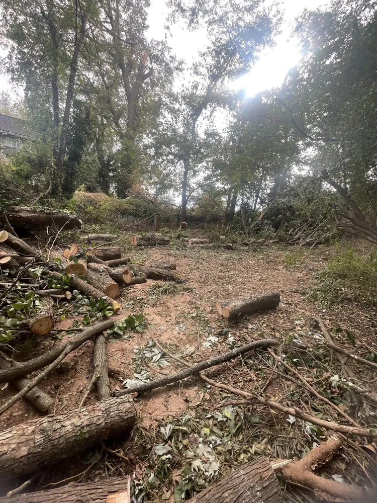 Affordable yard maintenance in Travelers Rest, SC by Countryside Lawn Pros