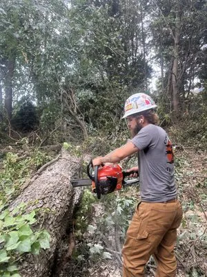 Countryside Lawn Pros Logo