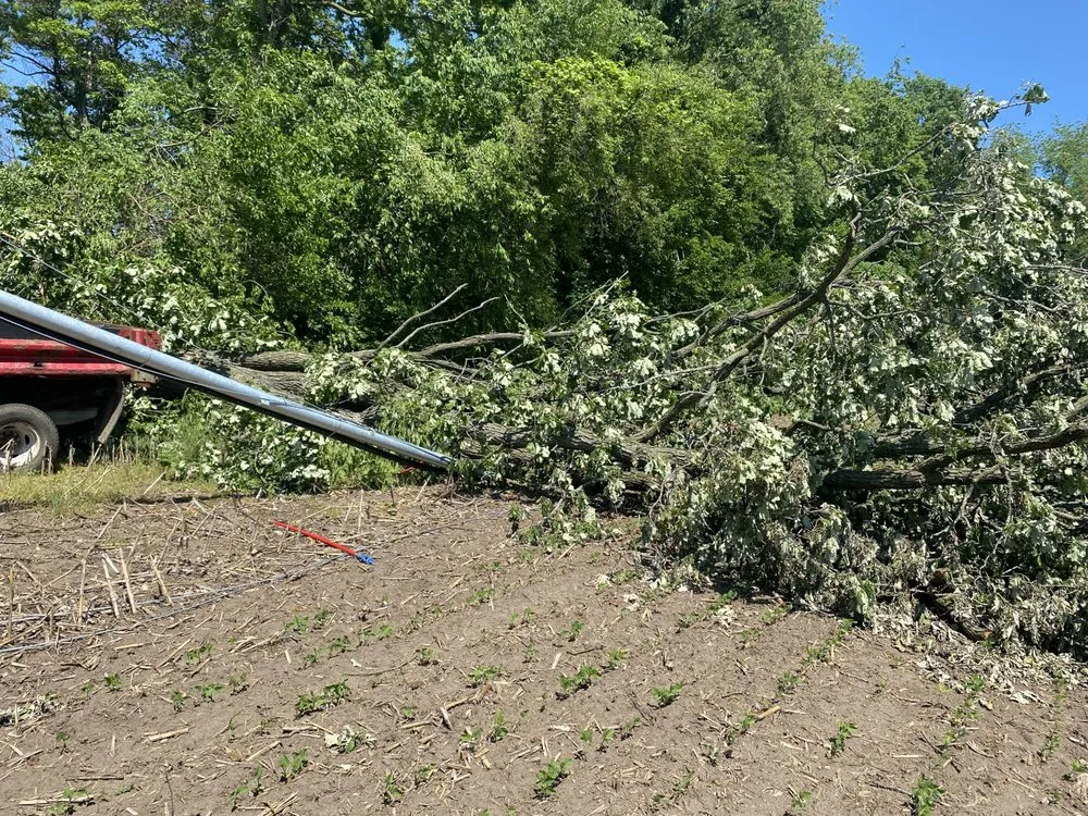 Affordable lawn mowing service for residential properties across North Liberty, IN - Countryside Lawncare & Landscaping