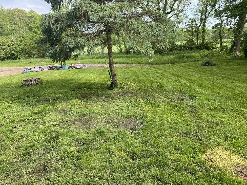 Top-rated lawn care service for outdoor upgrades across North Liberty, IN - Countryside Lawncare & Landscaping