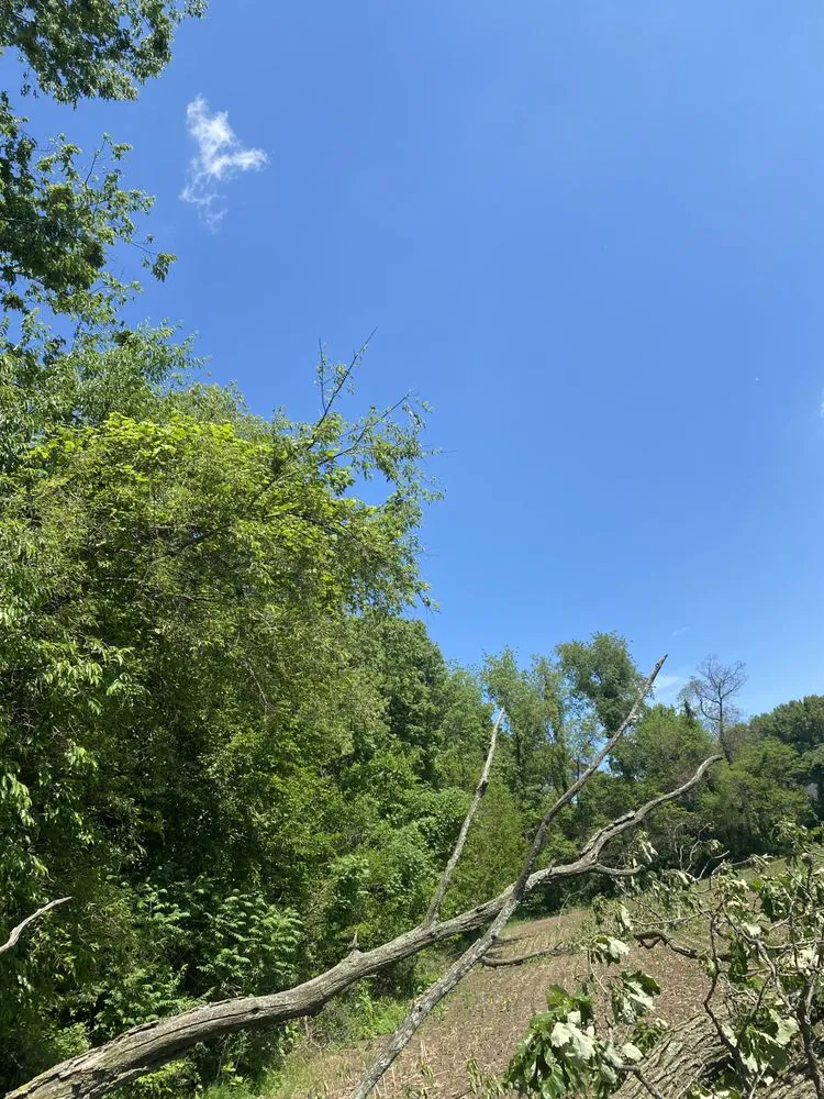 Professional yard maintenance for homes in North Liberty, IN by Countryside Lawncare & Landscaping