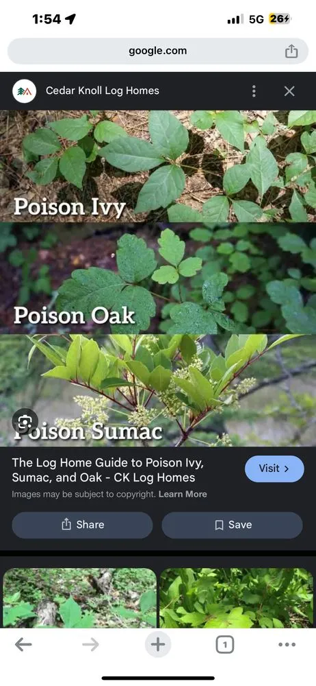 Expert landscaping services in North Liberty, IN - Countryside Lawncare & Landscaping