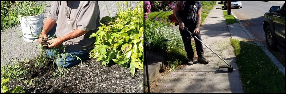 Custom lawn care service for year-round maintenance in Ballston Lake, NY by Countryside Lawncare