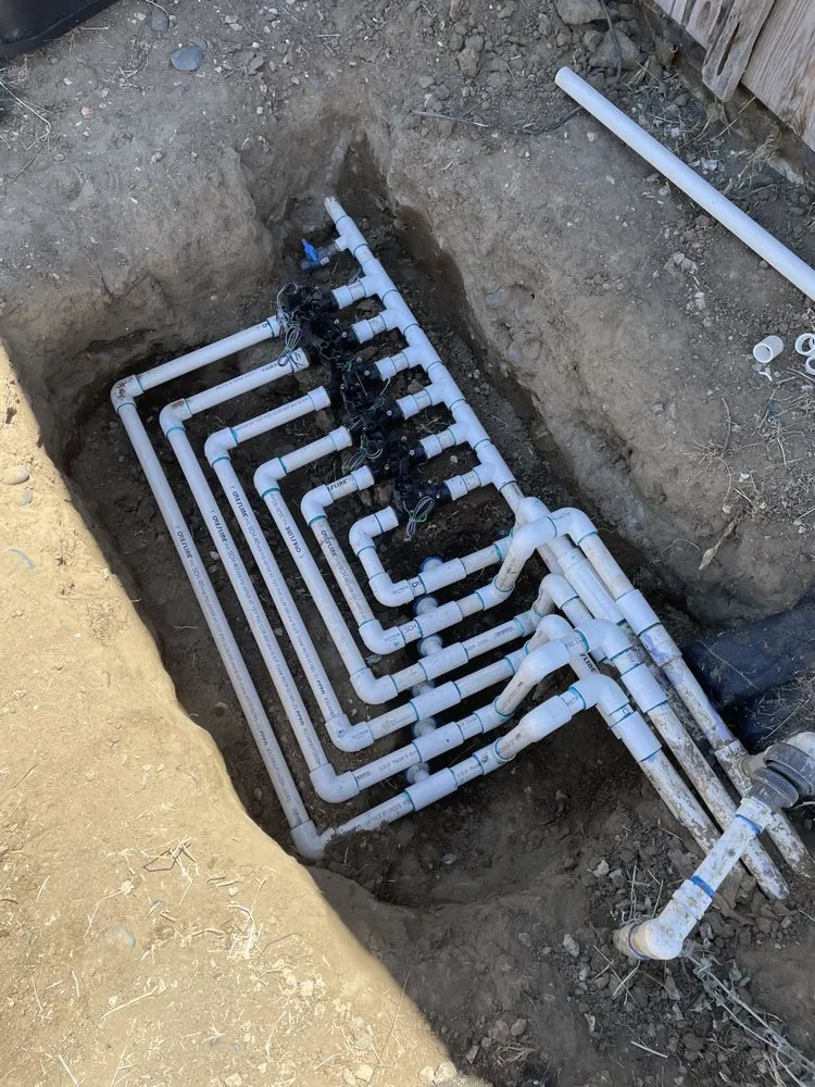 Top-rated residential landscaping in Carson City, NV by Countryside Lawns