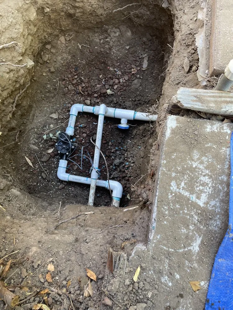 Professional yard maintenance experts serving Carson City, NV - Countryside Lawns