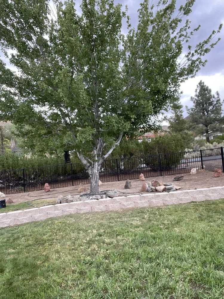 Affordable outdoor landscaping in Carson City, NV - Countryside Lawns