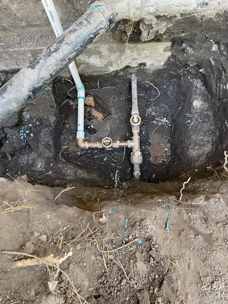 Affordable landscape design in Carson City, NV by Countryside Lawns