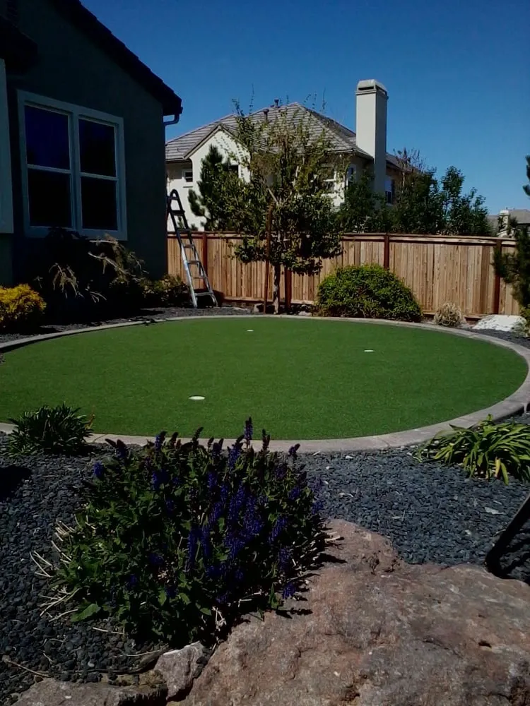 Professional yard cleanup service in Carson City, NV by Countryside Lawns