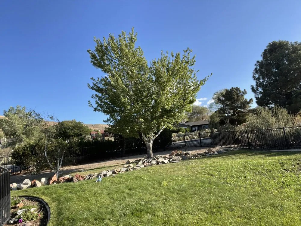 Custom outdoor landscaping in Carson City, NV - Countryside Lawns