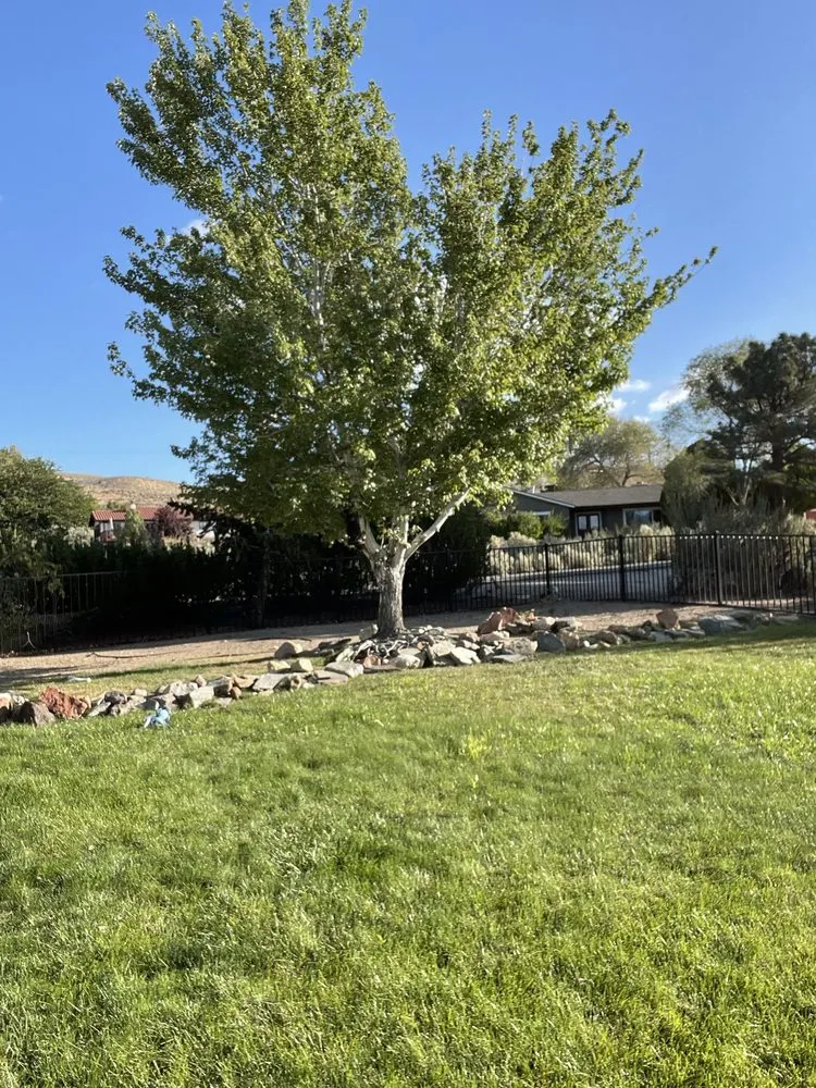 Reliable landscape design near you in Carson City, NV by Countryside Lawns