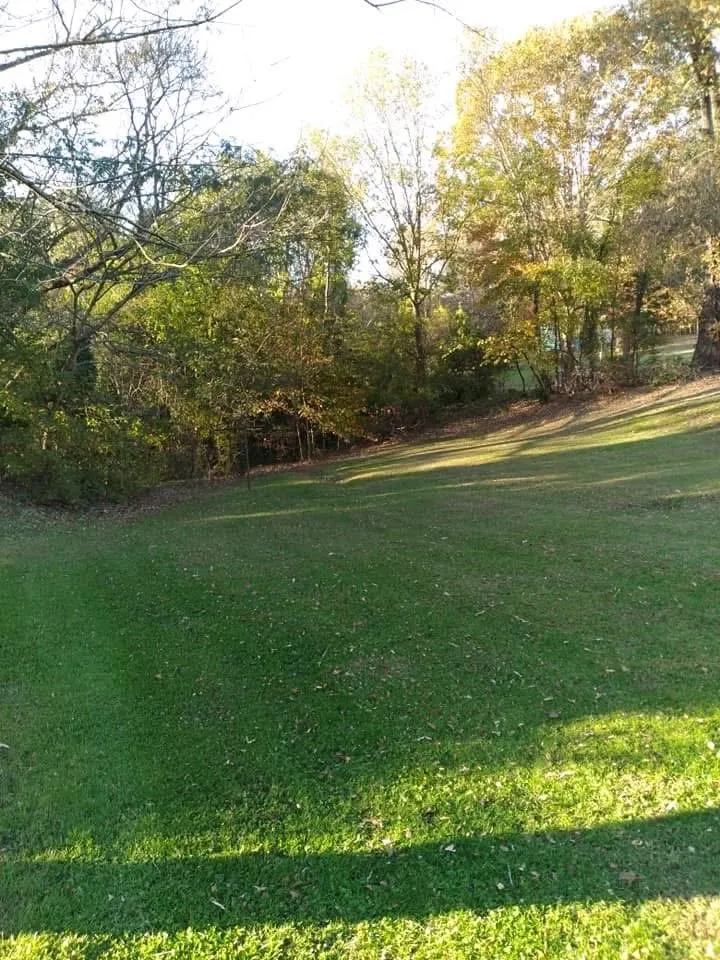 Custom yard cleanup service for beautiful yards across Danville, VA - Countryside Solutions