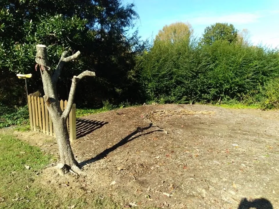 Top-rated landscape design in Danville, VA - Countryside Solutions