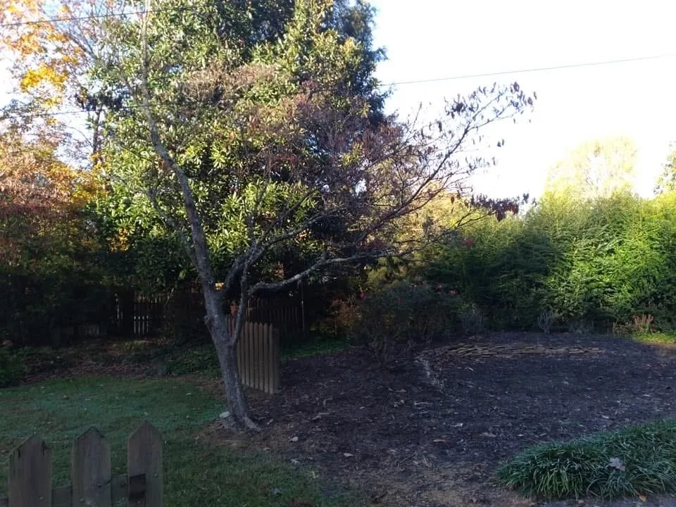 Affordable landscape design in Danville, VA - Countryside Solutions