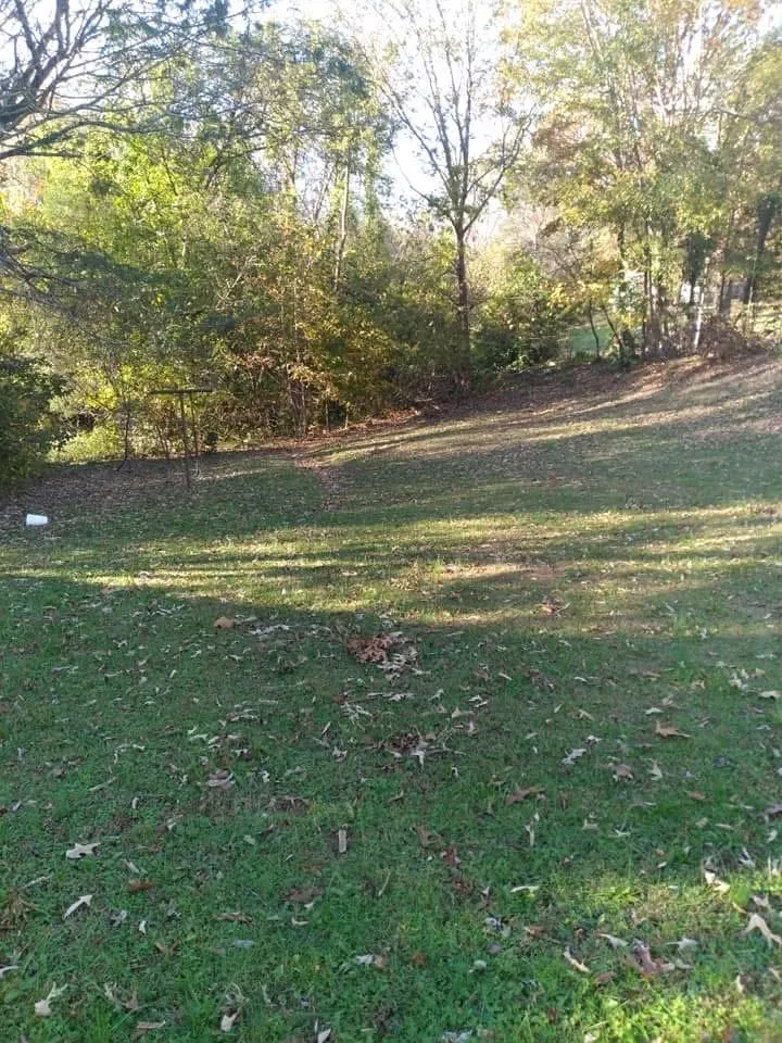 Custom yard maintenance in Danville, VA by Countryside Solutions