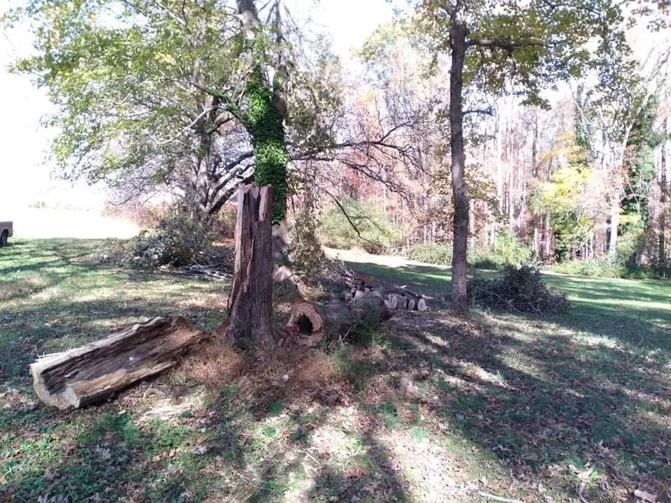 Trusted residential landscaping experts serving Danville, VA - Countryside Solutions