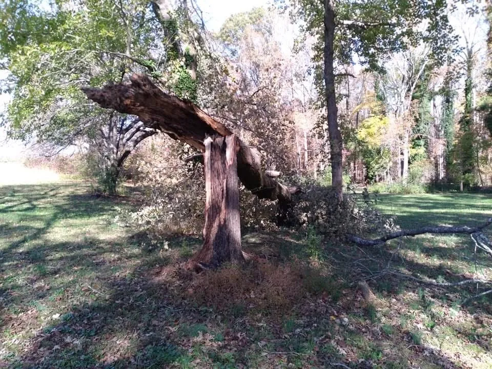 Reliable landscape design experts serving Danville, VA - Countryside Solutions