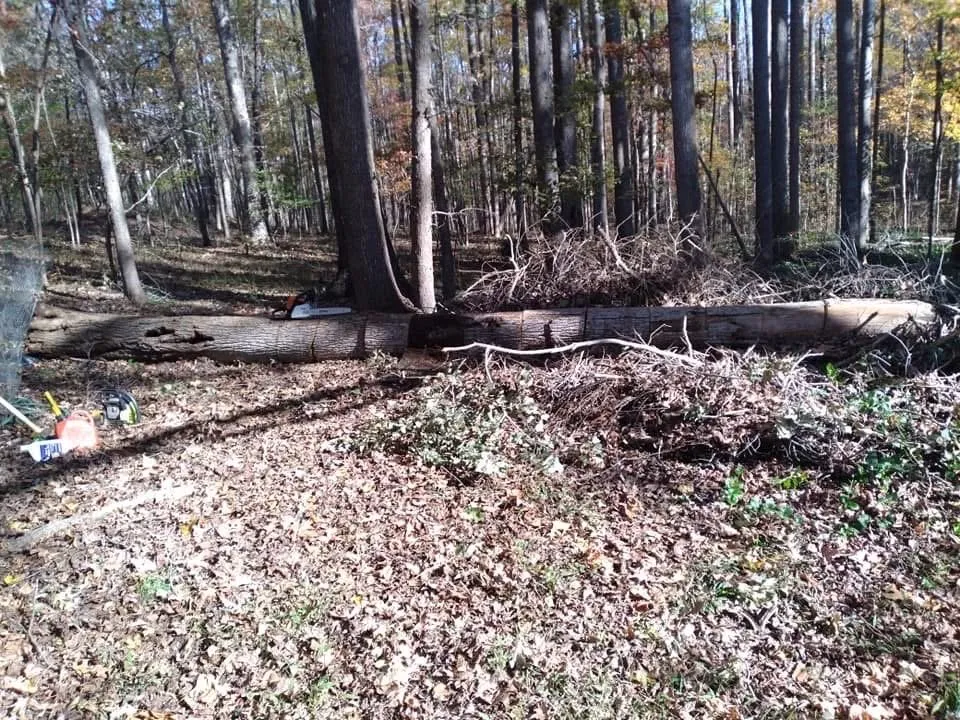 Affordable residential landscaping in Danville, VA by Countryside Solutions