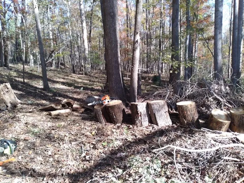 Local garden landscaping in Danville, VA - Countryside Solutions