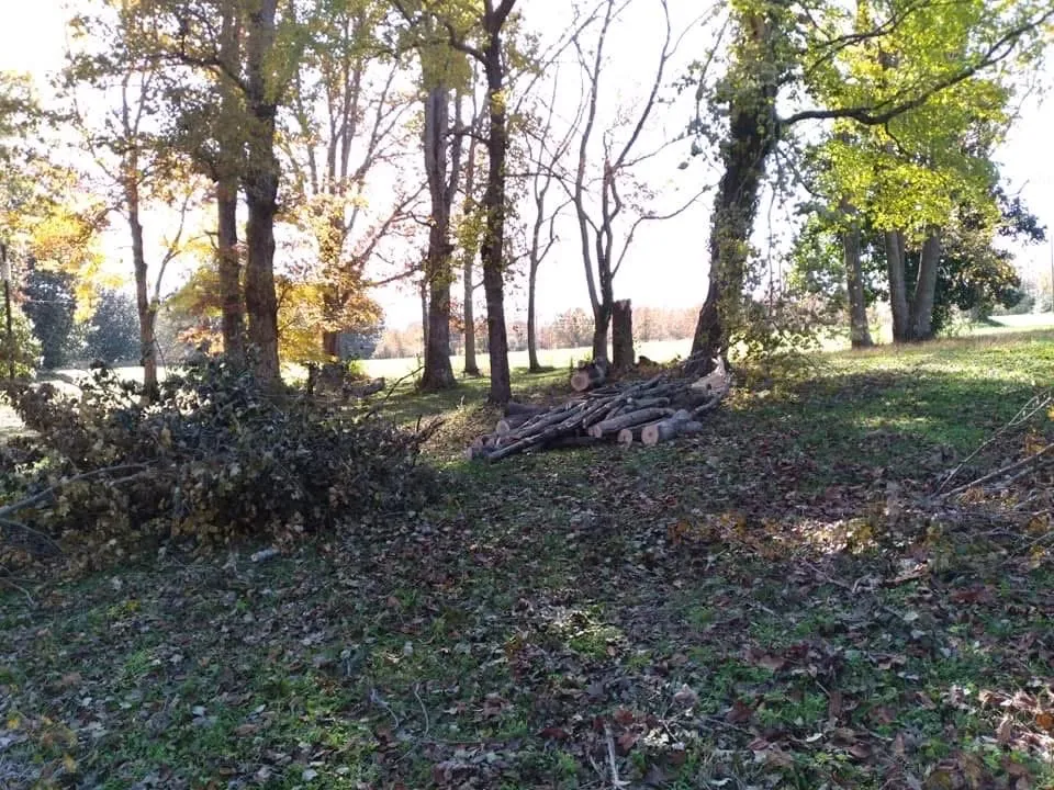 Expert lawn care service experts serving Danville, VA - Countryside Solutions