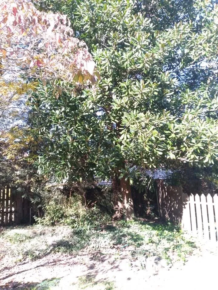 Local residential landscaping for residential properties in Danville, VA by Countryside Solutions