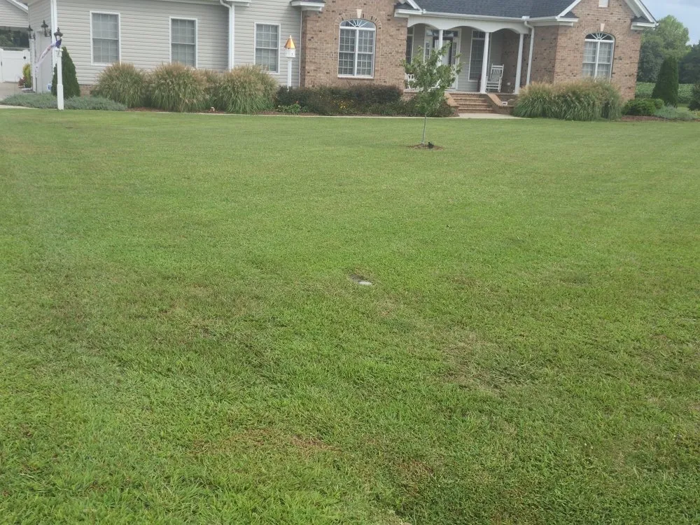Trusted yard cleanup service in Wilson, NC by Countryside Yard Works