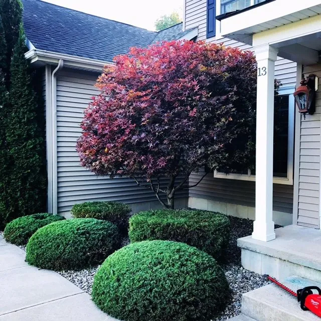 Trusted yard cleanup service experts serving Lake George, NY - CountryTurf Experience