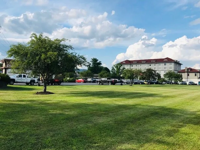 Affordable yard cleanup service in Lake George, NY by CountryTurf Experience