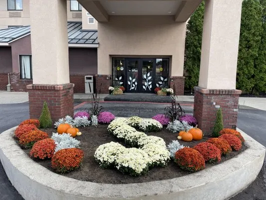 CountryTurf Experience