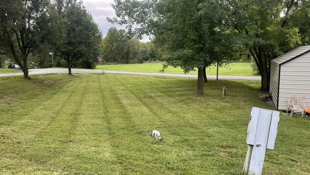 Top-rated lawn care service near you across Jefferson City, MO - Counts Lawn and Landscape