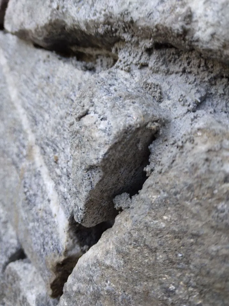 Professional yard maintenance experts serving Branford, CT - County Hill Paving & Excavation