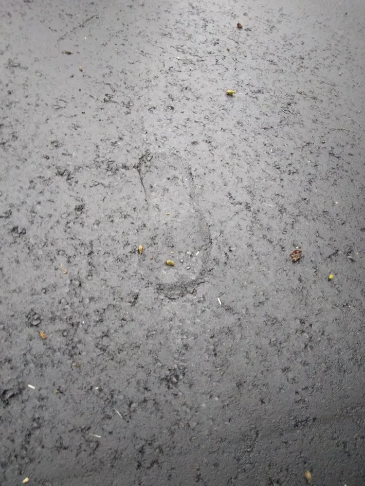 Reliable landscape installation for year-round maintenance across Branford, CT - County Hill Paving & Excavation