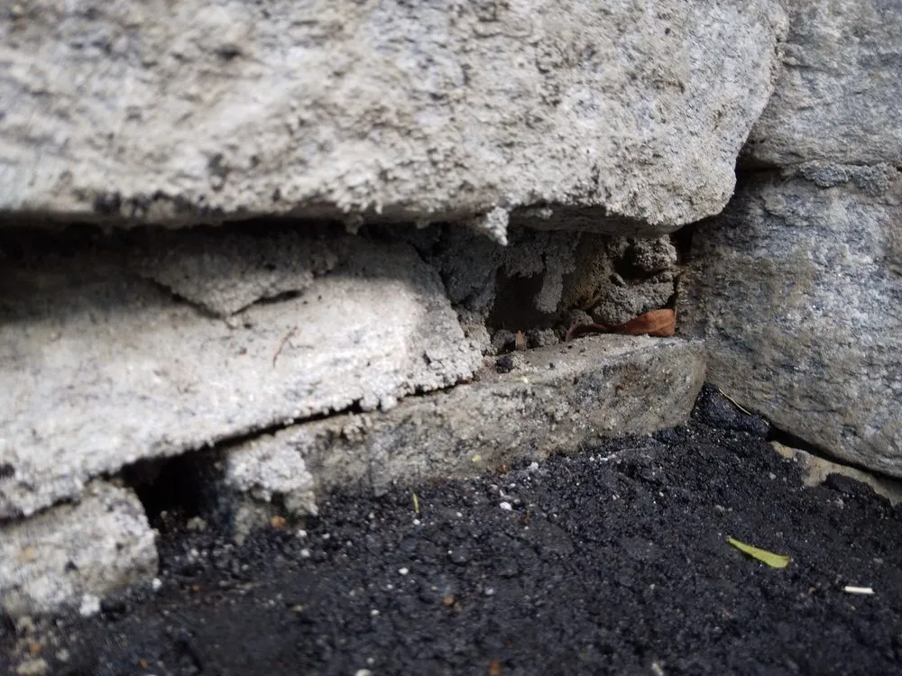 Trusted yard cleanup service experts serving Branford, CT - County Hill Paving & Excavation