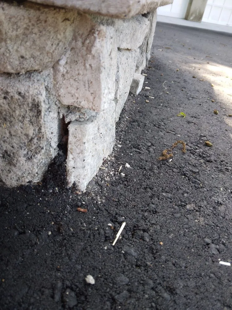 Expert yard maintenance with custom design across Branford, CT - County Hill Paving & Excavation