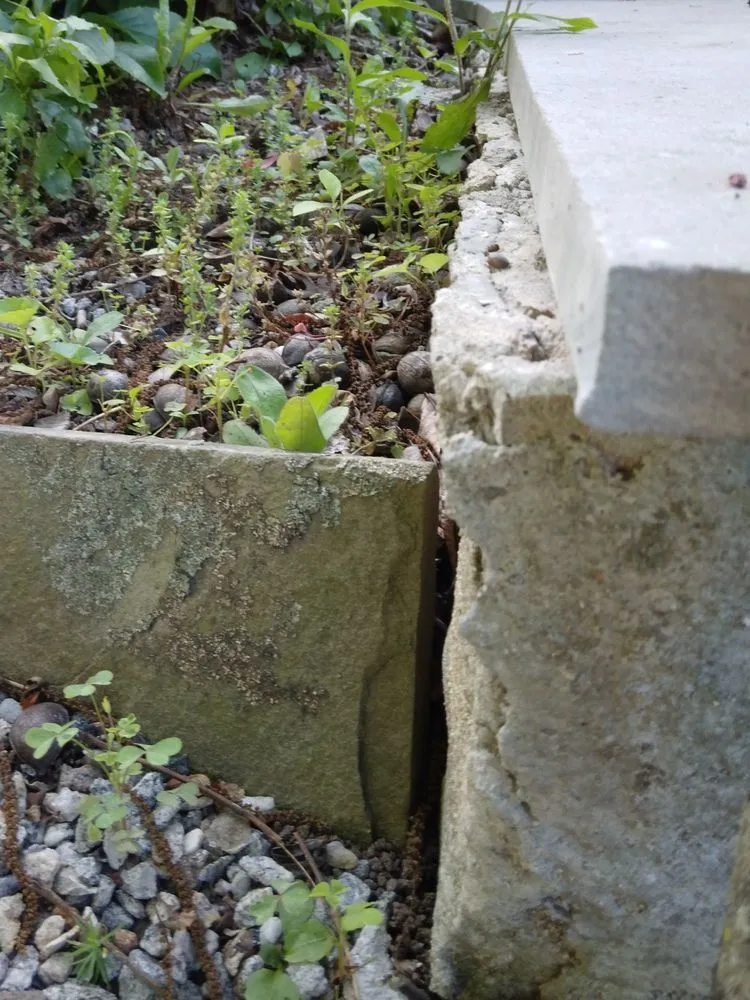 Affordable landscape installation for residential properties across Branford, CT - County Hill Paving & Excavation