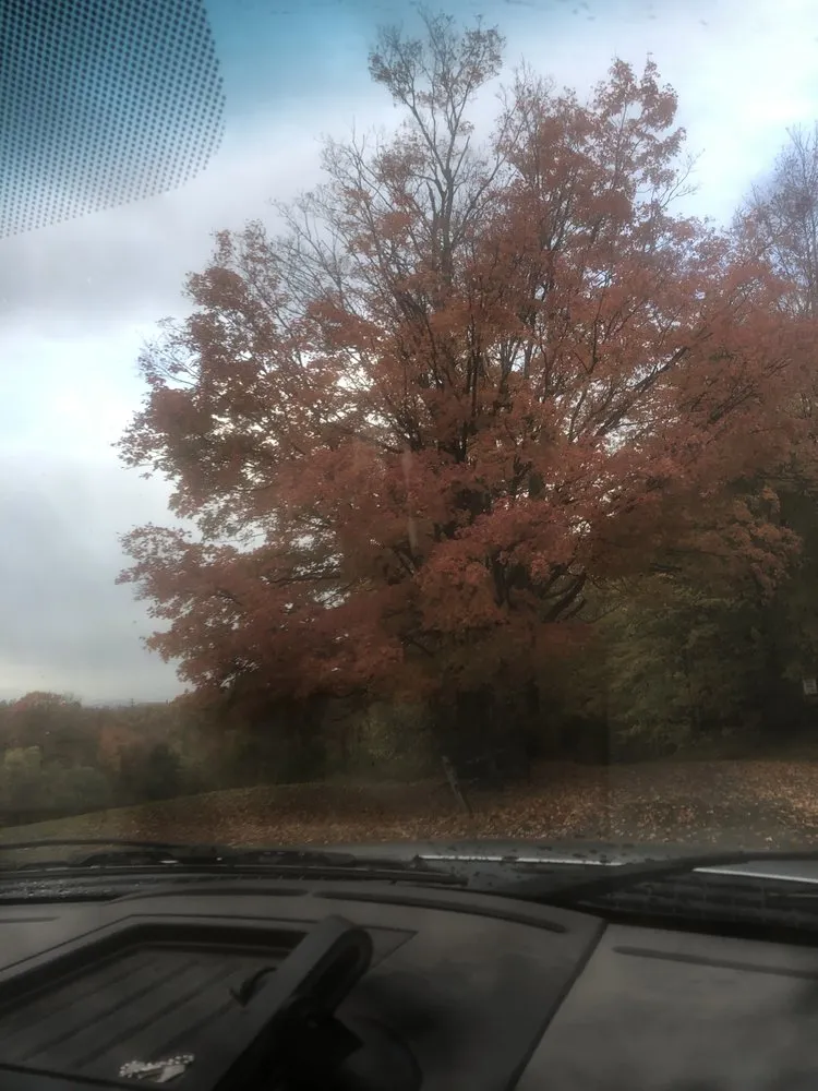 Expert landscape design for year-round maintenance across Torrington, CT - County Landscaping and More