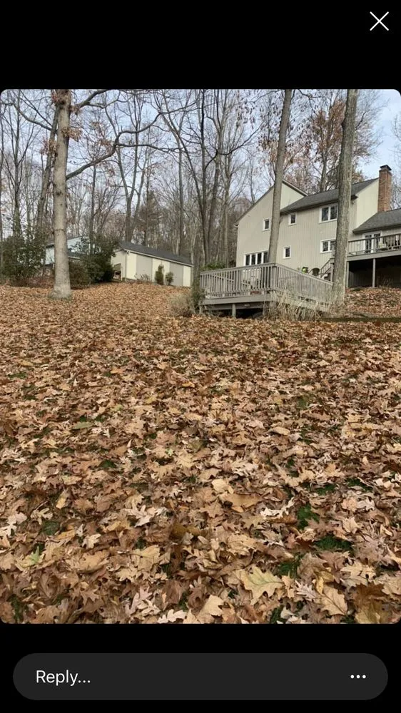 Top-rated landscape design in Torrington, CT - County Landscaping and More