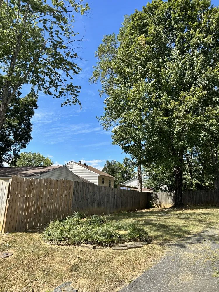 Top-rated landscaping services in Stafford, VA by County Lawn Services