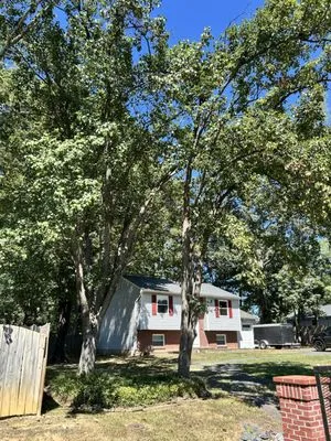 County Lawn Services Logo