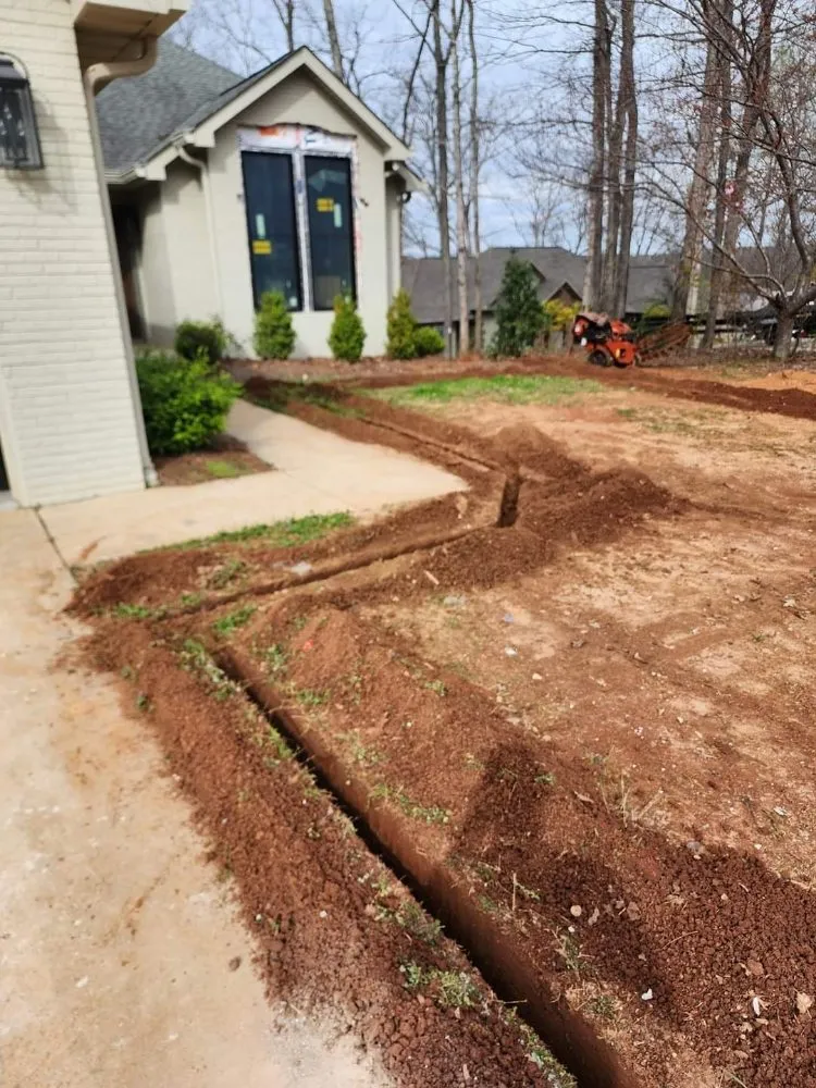 Top-rated residential landscaping for homes in Langston, AL by County Line Drainage And Excavation