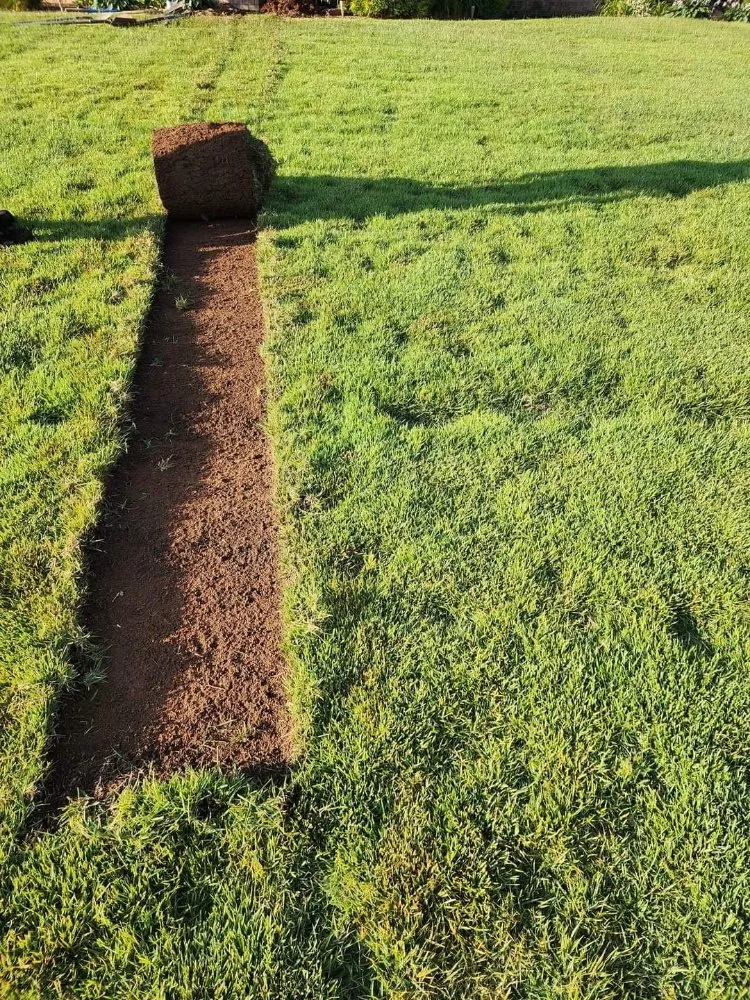 Expert lawn mowing service experts serving Langston, AL - County Line Drainage And Excavation
