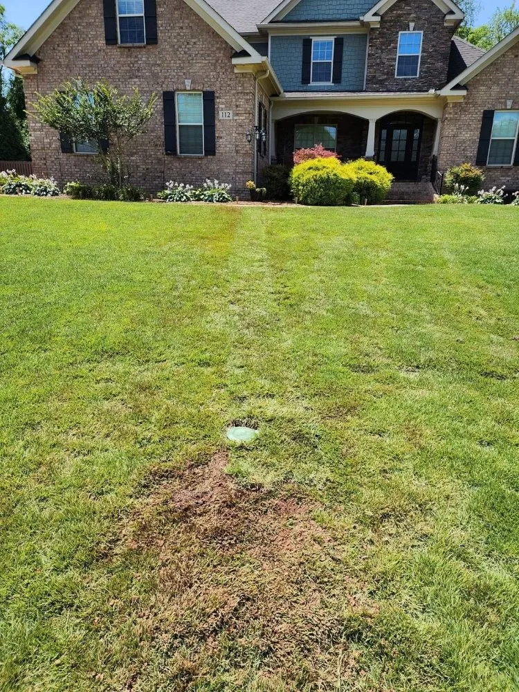 Custom outdoor landscaping near you in Langston, AL by County Line Drainage And Excavation